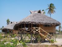 Cosy and large chalets with private and shadowed terraces 